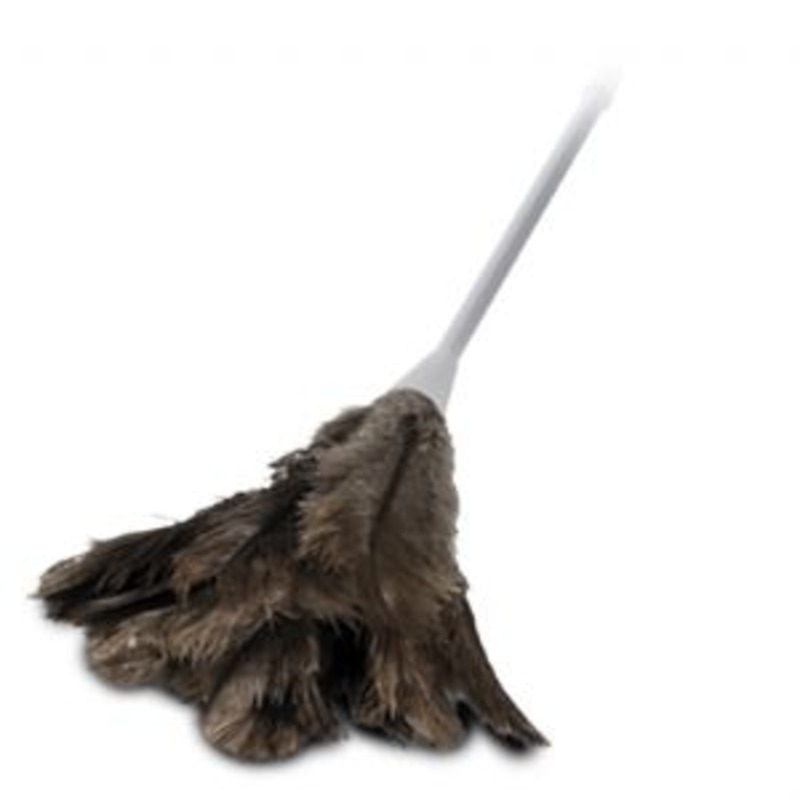 feather-duster-lge (1) (1)